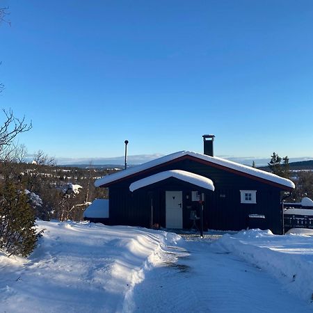 Cabin In The Mountain, Outstanding View & Solar Energy Vollen Exterior foto